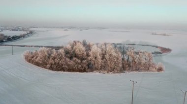 Kış boyunca Polonya 'daki Warmia manzarasının insansız hava aracı görüntüsü
