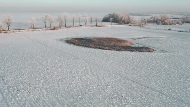 Aerial Drone View Warmia Landscape Poland Winter Time — Wideo stockowe