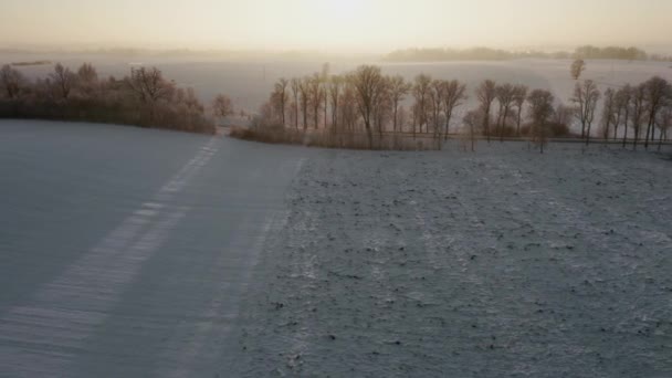 Aerial Drone View Warmia Landscape Poland Winter Time — Wideo stockowe