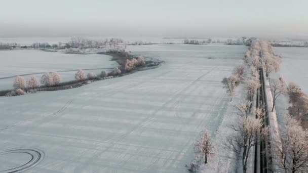 Повітряний Безпілотний Вид Теплий Краєвид Польщі Зимовий Час — стокове відео
