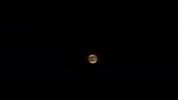 Timelapse Pleine Lune Brumeuse Levant Dans Nuit Contre Ciel Sombre — Video