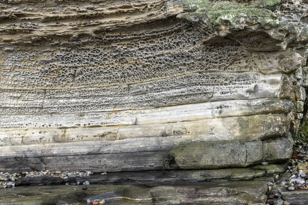 Detail Rock Elgol Beach Isle Skye Scotland — Stock Photo, Image