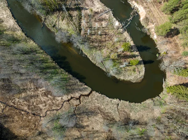 Luchtfoto Van Kleine Riviertjes Die Door Het Bos Stromen Warmia — Stockfoto