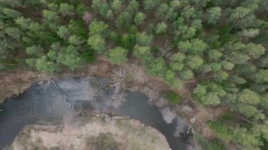 Warmia, kuzey Polonya ve Avrupa 'daki ormandan akan küçük nehrin hava manzarası.