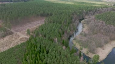 Warmia, kuzey Polonya ve Avrupa 'daki ormandan akan küçük nehrin hava manzarası.