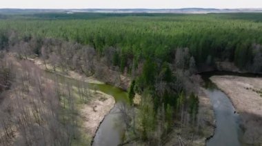 Warmia, kuzey Polonya ve Avrupa 'daki ormandan akan küçük nehrin hava manzarası.