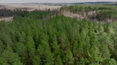 Warmia, kuzey Polonya ve Avrupa 'daki ormandan akan küçük nehrin hava manzarası.
