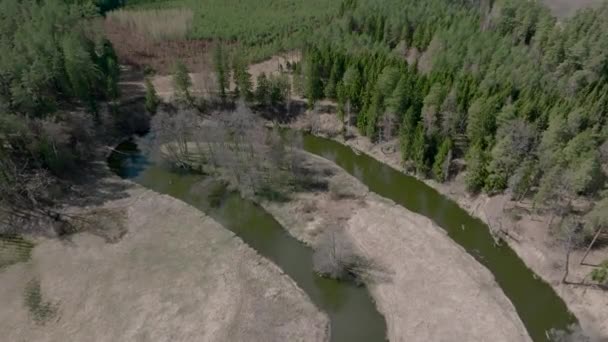 Повітряний Вид Маленьку Річку Протікає Через Ліс Вармії Північна Польща — стокове відео