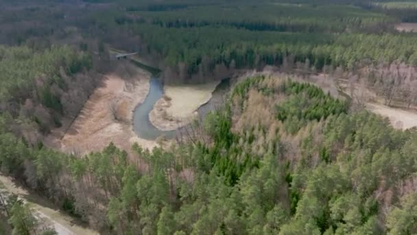 Flygfoto Över Liten Flod Som Rinner Genom Skogen Warmia Norra — Stockvideo