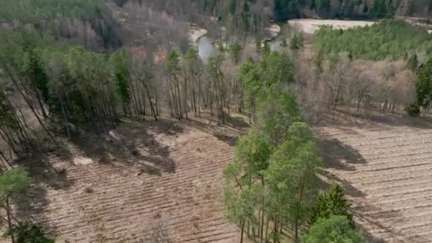 Luchtfoto Van Kleine Riviertjes Die Door Het Bos Stromen Warmia — Stockvideo