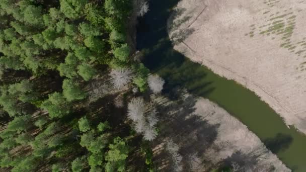 Vue Aérienne Une Petite Rivière Qui Coule Travers Forêt Warmie — Video
