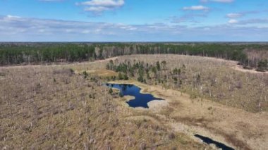 Varşova, Polonya, Avrupa yakınlarındaki Jacek adlı Ulusal Park Bataklığının havadan görünüşü