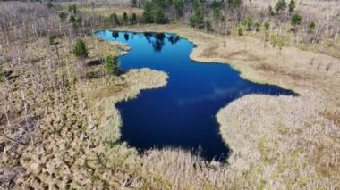 Varşova, Polonya, Avrupa yakınlarındaki Jacek adlı Ulusal Park Bataklığının havadan görünüşü
