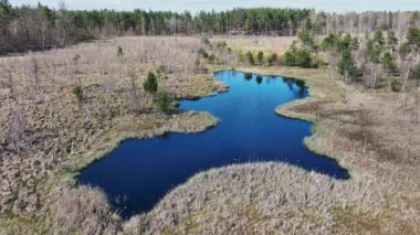 Varşova, Polonya, Avrupa yakınlarındaki Jacek adlı Ulusal Park Bataklığının havadan görünüşü