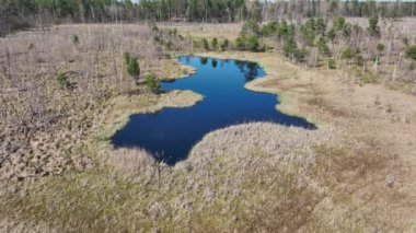 Varşova, Polonya, Avrupa yakınlarındaki Jacek adlı Ulusal Park Bataklığının havadan görünüşü