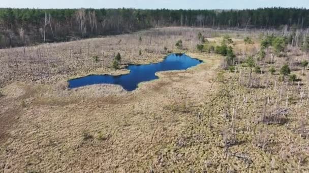 Bovenaanzicht Vanuit Lucht Van Het Nationaal Park Moeras Jacek Bij — Stockvideo