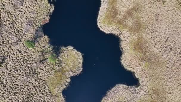 Aerial Top View National Park Swamp Called Jacek Warsaw Poland — Stock Video