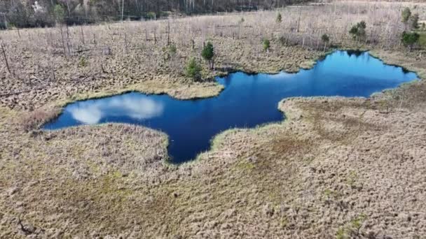 Aerial Top View National Park Swamp Called Jacek Warsaw Poland — Video