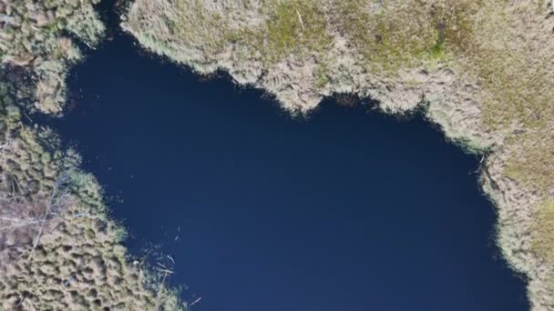 Αεροφωτογραφία Του National Park Swamp Που Ονομάζεται Jacek Κοντά Στη — Αρχείο Βίντεο