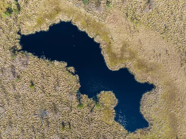 Bovenaanzicht Vanuit Lucht Van Het Nationaal Park Moeras Jacek Bij — Stockfoto