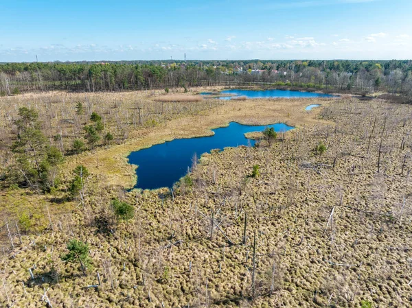 Flygfoto Över National Park Swamp Kallas Jacek Nära Warszawa Polen — Stockfoto