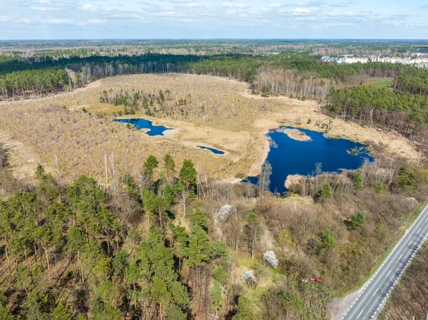 Aerial Top View National Park Swamp Called Jacek Warsaw Poland —  Fotos de Stock