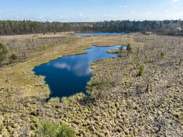 Vista Aérea Del Pantano Del Parque Nacional Llamado Jacek Cerca — Foto de Stock