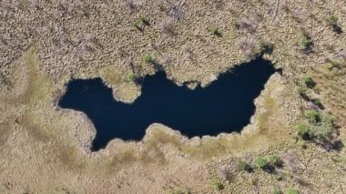 Varşova, Polonya, Avrupa yakınlarındaki Jacek adlı Ulusal Park Bataklığının havadan görünüşü