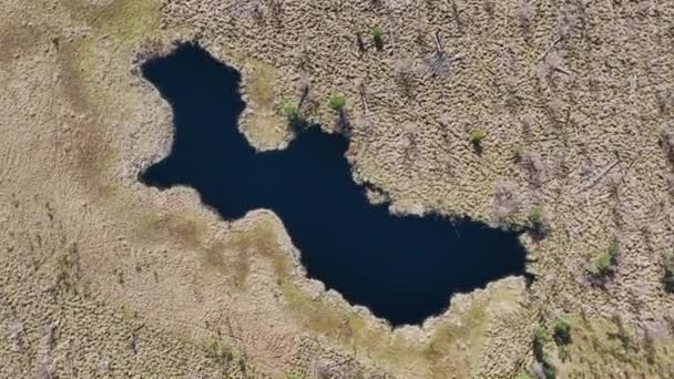 波兰华沙附近称为Jacek的国家公园沼泽的空中俯瞰 — 图库视频影像