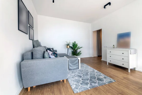 Living room in scandinavian style - moder interior design