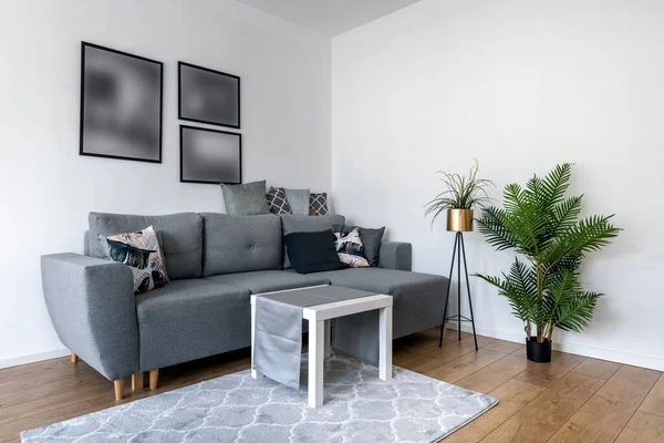 Living room in scandinavian style - moder interior design