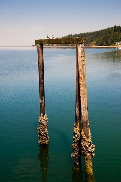 Kayak Point — Stock Photo, Image