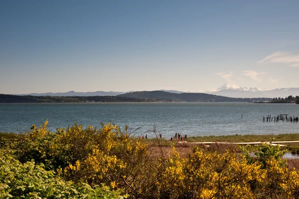 Anacortes — Foto de Stock