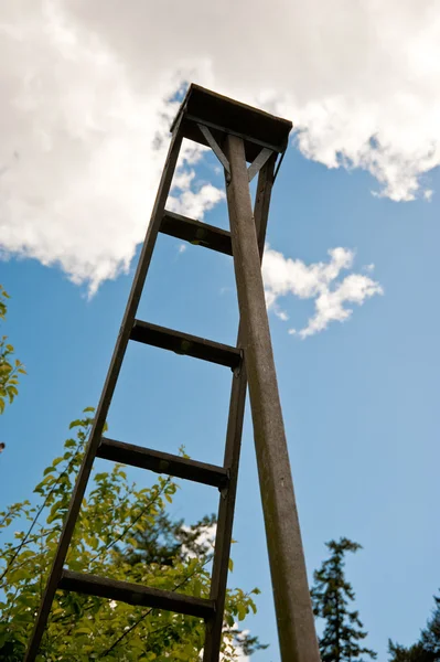 Ladder — Stockfoto