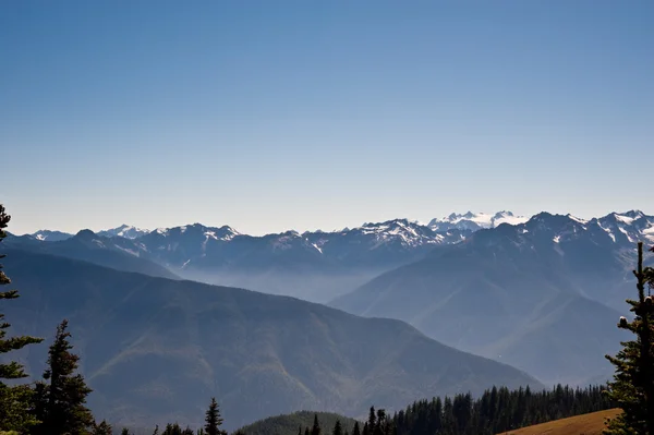 Hurricane Ridge — Stock Photo, Image