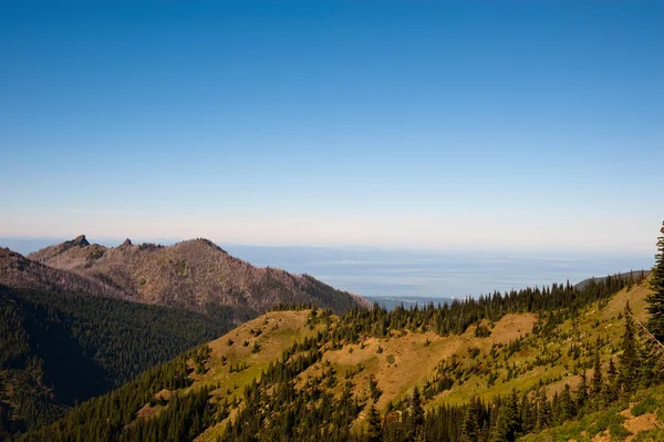 Cresta di uragano — Foto Stock