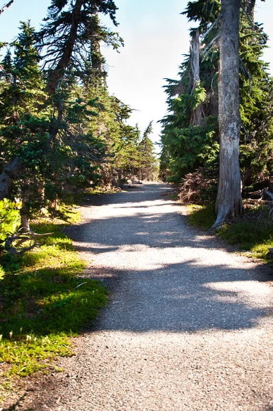 Sentiero dell'uragano Ridge — Foto Stock