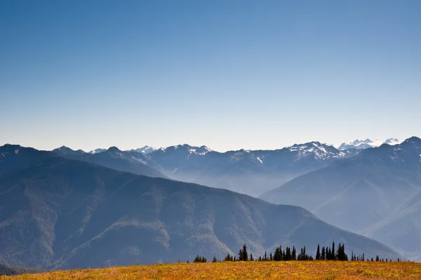 Hurricane Ridge — Stock Photo, Image