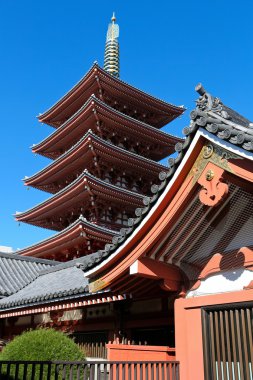 Sensoji asakusa Tapınağı