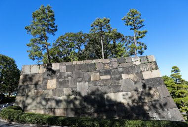 Edo kale Tokyo