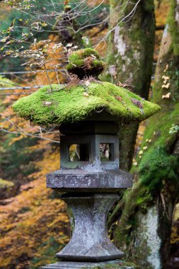 taş fener toshogu Tapınak, nikko, Japonya