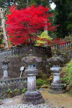 Nikko, Japonya'da sonbahar