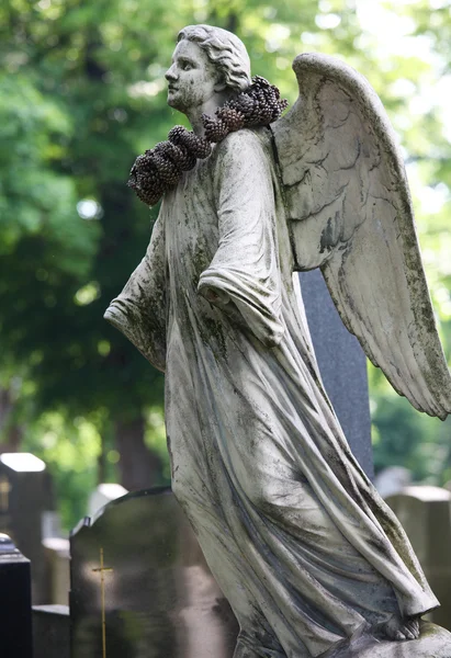 Angel statue on Zentralfriedhof — Stock Photo, Image