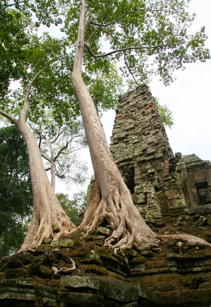 Angkor komplex, kambodzsai Preah Palilay templom — Stock Fotó