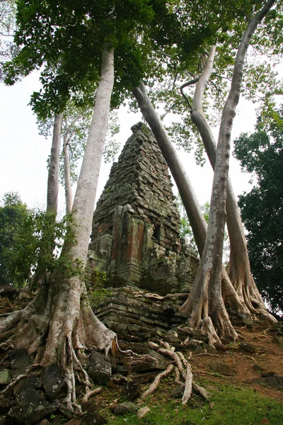 Preah palilay templet i angkor komplex, Kambodja — Stockfoto