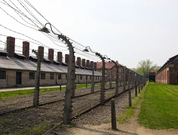 Auschwitz — Foto Stock