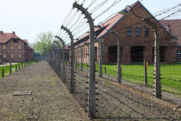 Auschwitz. — Foto de Stock
