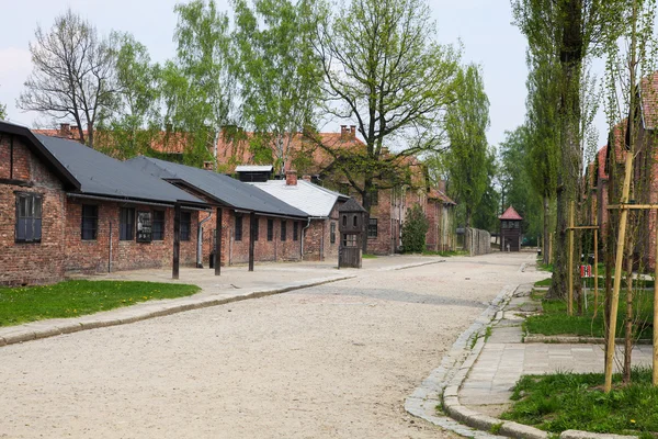 Auschwitz — Fotografia de Stock