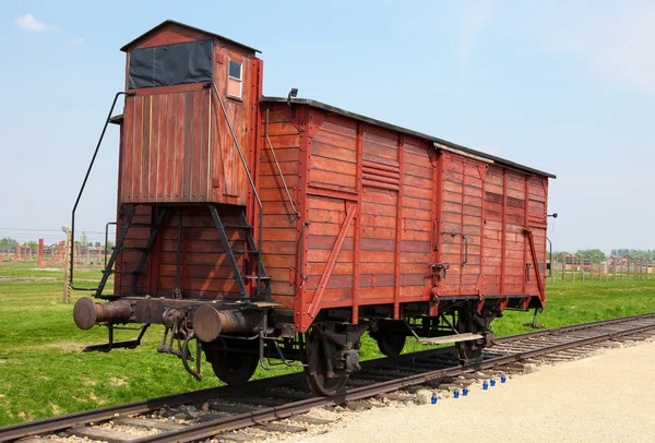 Auschwitz. — Foto de Stock