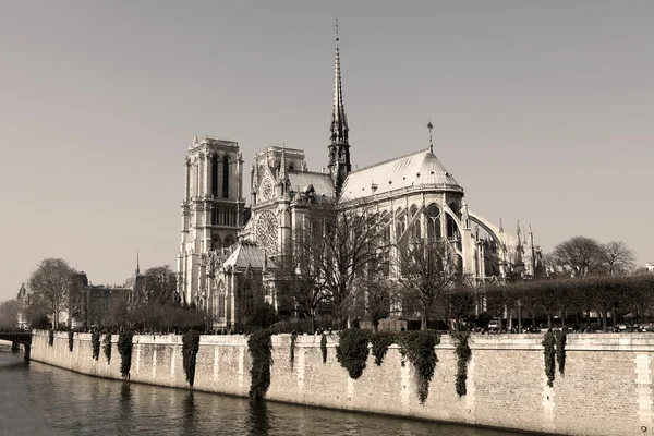 Notre Dame cathedral — Stock Photo, Image
